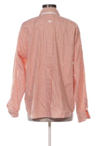 Damenbluse Van Laack, Größe XL, Farbe Mehrfarbig, Preis € 42,01