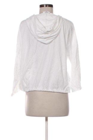 Damenbluse Z One by Zabaione, Größe M, Farbe Mehrfarbig, Preis € 20,91