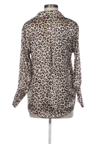 Damenbluse Zara, Größe M, Farbe Mehrfarbig, Preis € 13,81
