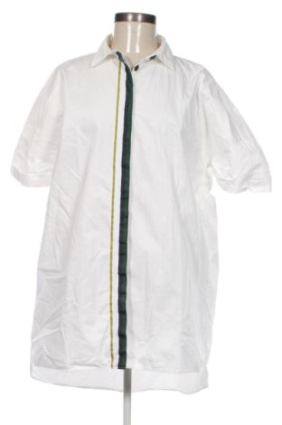 Damenbluse Zara, Größe M, Farbe Mehrfarbig, Preis € 14,00