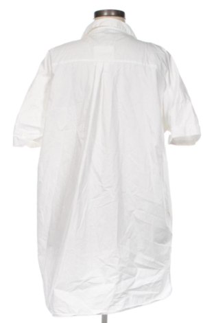 Damenbluse Zara, Größe M, Farbe Mehrfarbig, Preis € 14,00