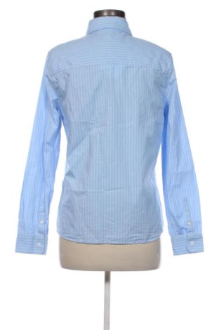 Damenbluse Zara, Größe M, Farbe Mehrfarbig, Preis € 13,81