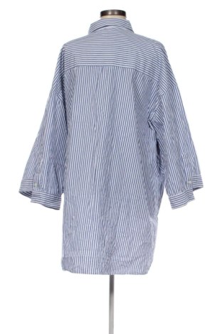 Damenbluse Zara, Größe XXL, Farbe Mehrfarbig, Preis 14,00 €