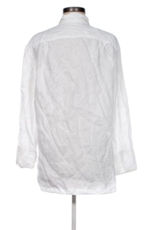 Damenbluse Zara, Größe S, Farbe Ecru, Preis 14,00 €
