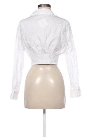 Damenbluse Zara, Größe M, Farbe Weiß, Preis € 13,81