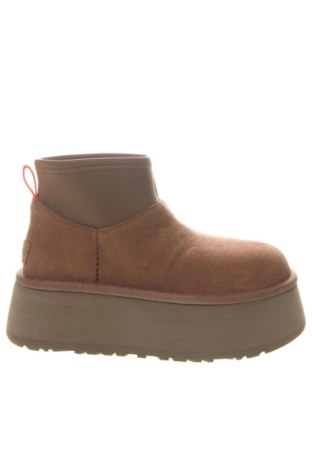 Γυναικεία μποτάκια UGG Australia, Μέγεθος 37, Χρώμα  Μπέζ, Τιμή 204,99 €