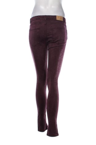 Damen Jeans Zara, Größe M, Farbe Lila, Preis 17,99 €