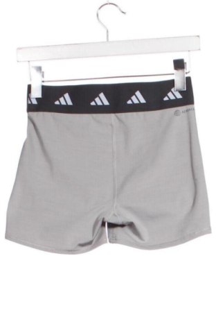 Γυναικείο κοντό παντελόνι Adidas, Μέγεθος XS, Χρώμα Γκρί, Τιμή 15,00 €
