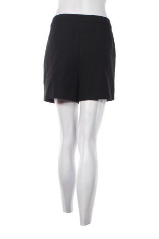 Damen Shorts Hallhuber, Größe L, Farbe Schwarz, Preis 31,99 €