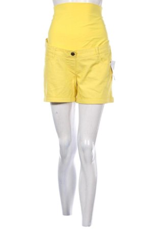Damen Shorts Maternite, Größe XL, Farbe Gelb, Preis € 51,99