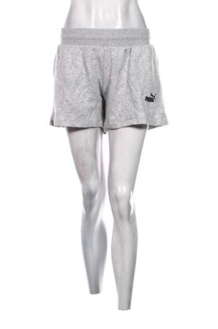 Damen Shorts PUMA, Größe XL, Farbe Grau, Preis 17,00 €, #136501536