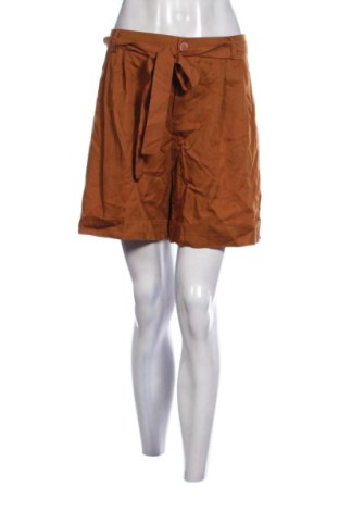 Damskie szorty Zoya Apparel, Rozmiar XL, Kolor Brązowy, Cena 81,40 zł
