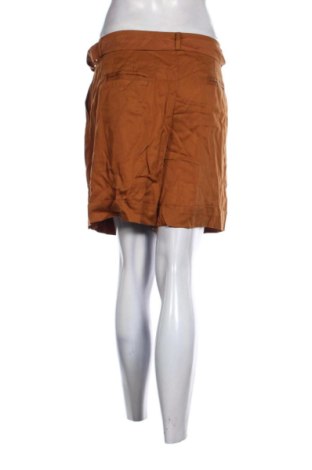 Damskie szorty Zoya Apparel, Rozmiar XL, Kolor Brązowy, Cena 81,40 zł