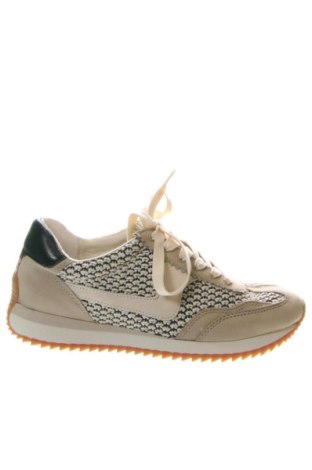 Obuwie damskie Dolce Vita, Rozmiar 37, Kolor Kolorowy, Cena 148,99 zł, #136421597