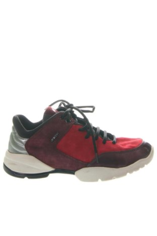 Damenschuhe Geox, Größe 37, Farbe Mehrfarbig, Preis € 84,35