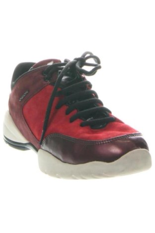 Damenschuhe Geox, Größe 37, Farbe Mehrfarbig, Preis € 84,35
