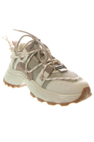 Damenschuhe Steve Madden, Größe 40, Farbe Mehrfarbig, Preis 137,99 €