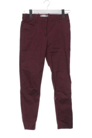 Damenhose Gap, Größe XS, Farbe Lila, Preis 17,36 €, #136432019