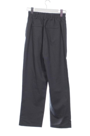Damskie spodnie Unbranded, Rozmiar XS, Kolor Szary, Cena 131,57 zł