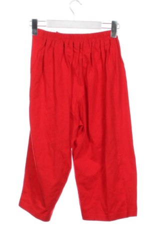 Damenhose Unbranded, Größe XS, Farbe Rot, Preis € 15,00