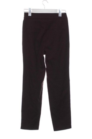 Damenhose Zara, Größe XS, Farbe Braun, Preis 14,00 €