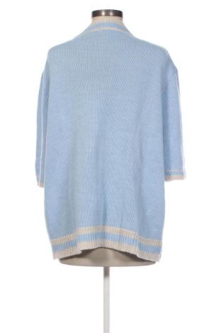 Damenpullover Unbranded, Größe XXL, Farbe Blau, Preis 15,00 €
