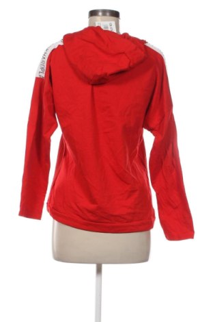 Női sweatshirt Pittarello, Méret L, Szín Sokszínű, Ár 7 499 Ft