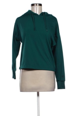 Damen Sweatshirt Unbranded, Größe XL, Farbe Grün, Preis 19,99 €