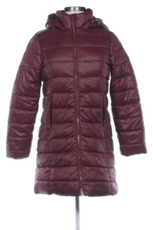 Damenjacke Sinsay, Größe S, Farbe Rot, Preis 44,99 €