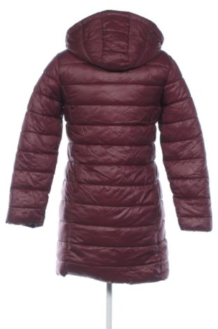 Damenjacke Sinsay, Größe S, Farbe Rot, Preis 44,99 €