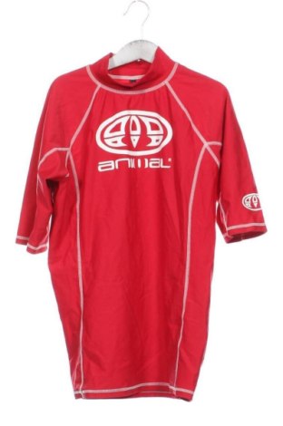 Kinder Shirt Animal, Größe 13-14y/ 164-168 cm, Farbe Mehrfarbig, Preis 10,26 €