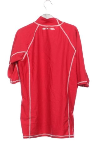 Kinder Shirt Animal, Größe 13-14y/ 164-168 cm, Farbe Mehrfarbig, Preis 10,26 €
