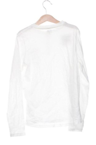 Kinder Shirt Kiabi, Größe 9-10y/ 140-146 cm, Farbe Weiß, Preis € 6,00