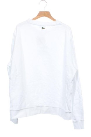 Детска блуза Lacoste, Размер 15-18y/ 170-176 см, Цвят Бял, Цена 19,42 €