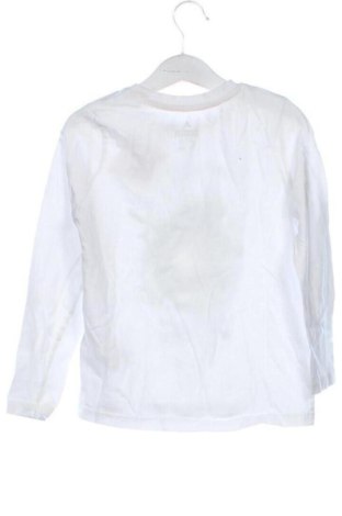 Kinder Shirt Lupilu, Größe 4-5y/ 110-116 cm, Farbe Weiß, Preis 6,00 €