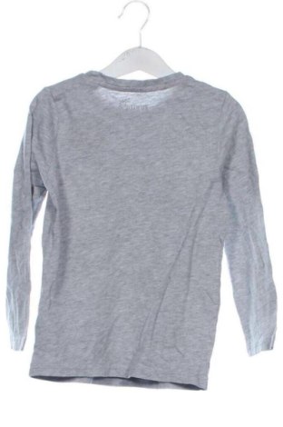 Kinder Shirt Lupilu, Größe 4-5y/ 110-116 cm, Farbe Grau, Preis 6,00 €