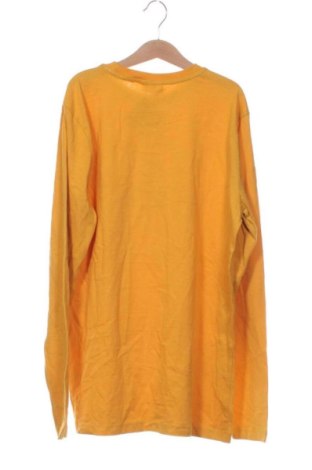 Kinder Shirt Oviesse, Größe 14-15y/ 168-170 cm, Farbe Gelb, Preis 7,99 €