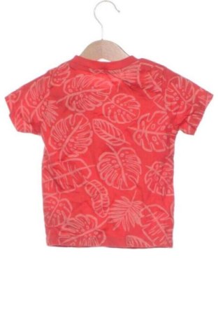 Kinder Shirt Primark, Größe 9-12m/ 74-80 cm, Farbe Mehrfarbig, Preis € 12,99