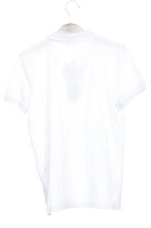 Dziecięcy T-shirt Pepco, Rozmiar 7-8y/ 128-134 cm, Kolor Biały, Cena 42,87 zł