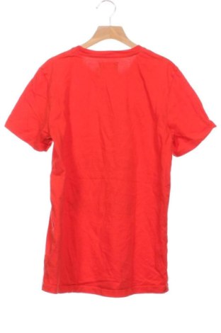Dziecięcy T-shirt River Woods, Rozmiar 15-18y/ 170-176 cm, Kolor Kolorowy, Cena 91,99 zł