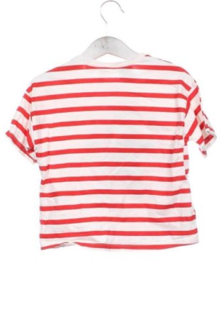 Kinder T-Shirt Zara, Größe 18-24m/ 86-98 cm, Farbe Mehrfarbig, Preis 4,00 €