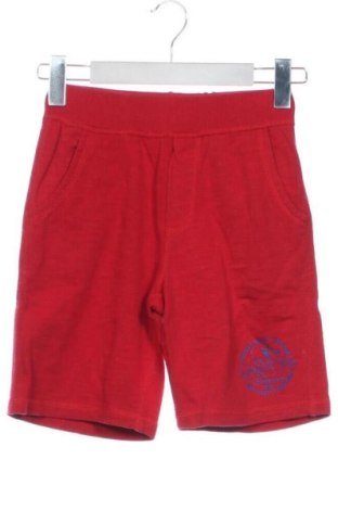 Dziecięce szorty Blu Kids, Rozmiar 8-9y/ 134-140 cm, Kolor Czerwony, Cena 37,51 zł
