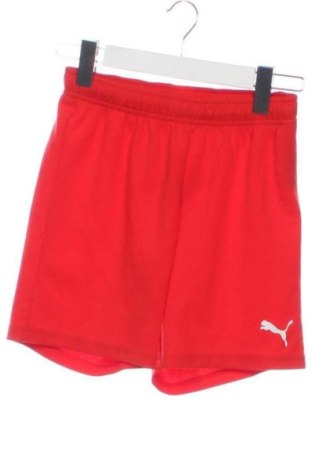 Pantaloni scurți pentru copii PUMA, Mărime 10-11y/ 146-152 cm, Culoare Roșu, Preț 72,99 Lei