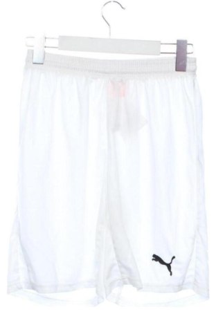 Kinder Shorts PUMA, Größe 15-18y/ 170-176 cm, Farbe Weiß, Preis 14,00 €