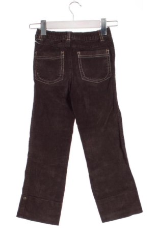 Kinderhose Unbranded, Größe 5-6y/ 116-122 cm, Farbe Braun, Preis 11,00 €
