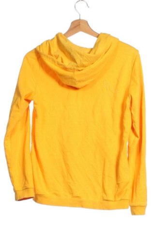 Kinder Sweatshirts Adidas Neo, Größe 14-15y/ 168-170 cm, Farbe Gelb, Preis € 27,99