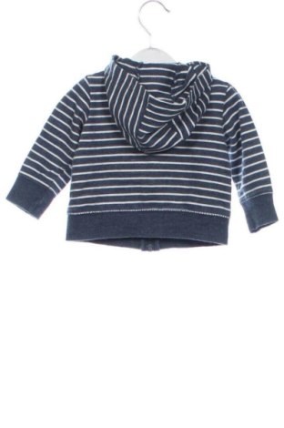 Kinder Sweatshirts Carter's, Größe 9-12m/ 74-80 cm, Farbe Mehrfarbig, Preis € 11,20