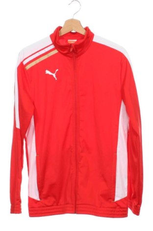 Kinder Sportoberteil PUMA, Größe 15-18y/ 170-176 cm, Farbe Mehrfarbig, Preis 22,99 €