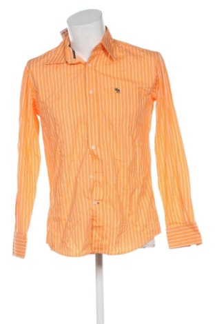 Мъжка риза Abercrombie & Fitch, Размер M, Цвят Многоцветен, Цена 32,72 €