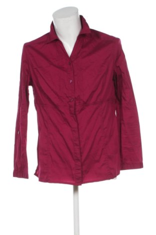 Herrenhemd Cecil, Größe L, Farbe Rosa, Preis 20,99 €